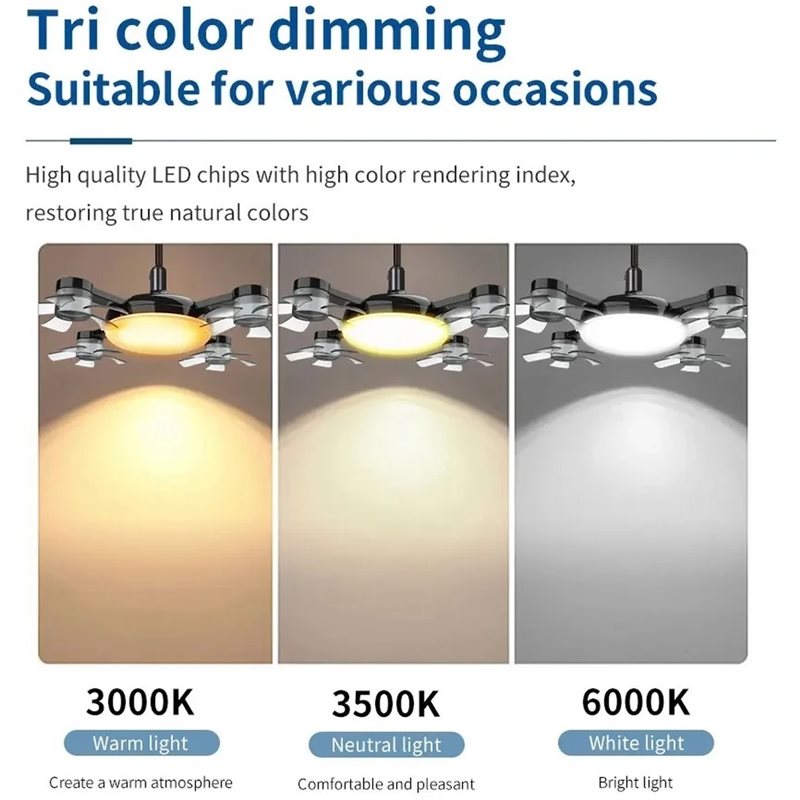 【KITCHEN GADGET】Ceiling Fan Li - đánh giá và giá Kitchen Room Gadgets